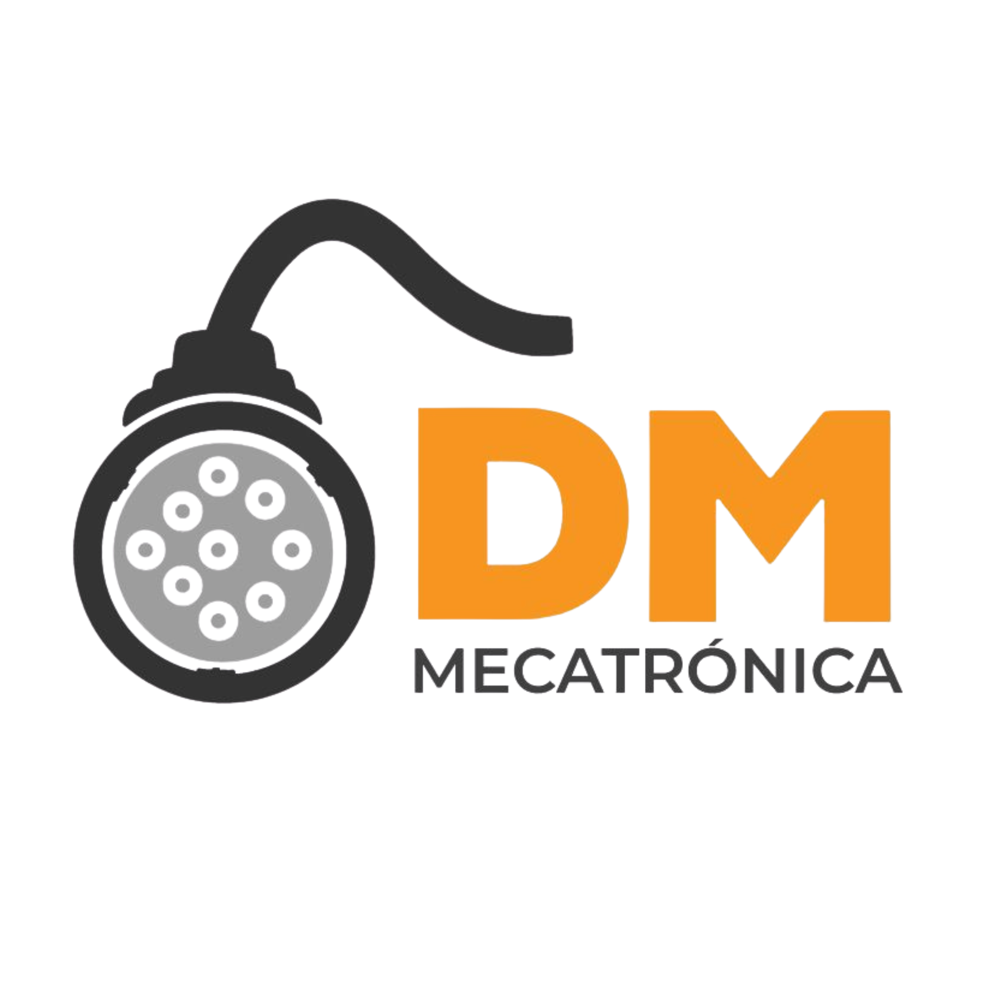 Cliente 11